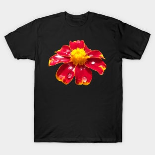 marigold red flower with raindrops, flowers T-Shirt